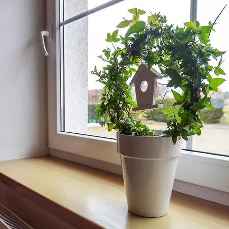 Benesov U Broumova Guest house Broumov