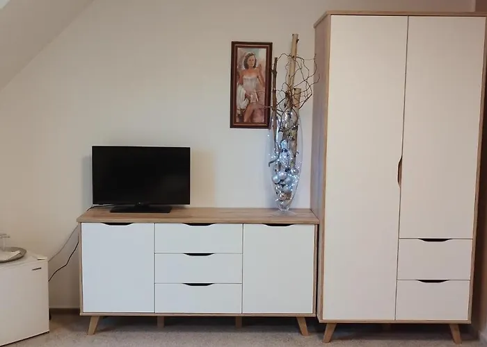 בית הארחה Benesov U Broumova 3*
